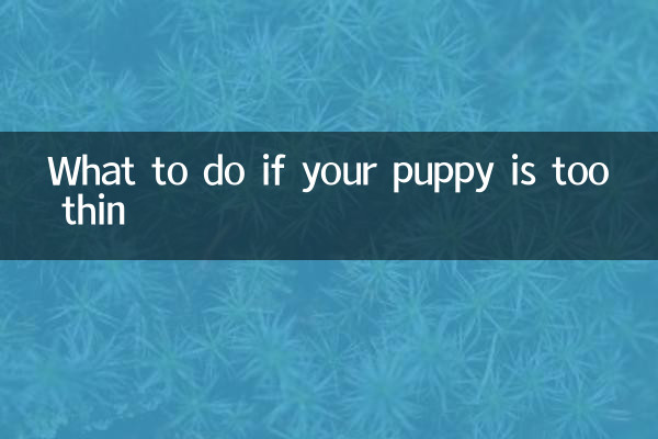 Что делать, если щенок слишком худой