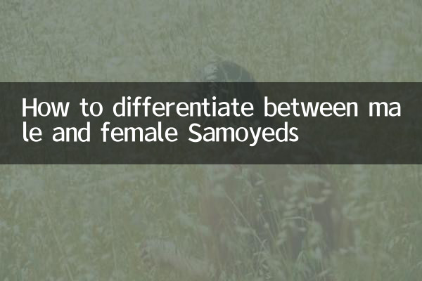Как отличить самоедов мужского и женского пола