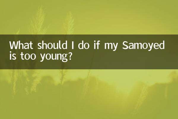 Cosa devo fare se il mio Samoiedo è troppo giovane?