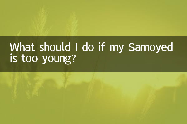 Cosa devo fare se il mio Samoiedo è troppo giovane?