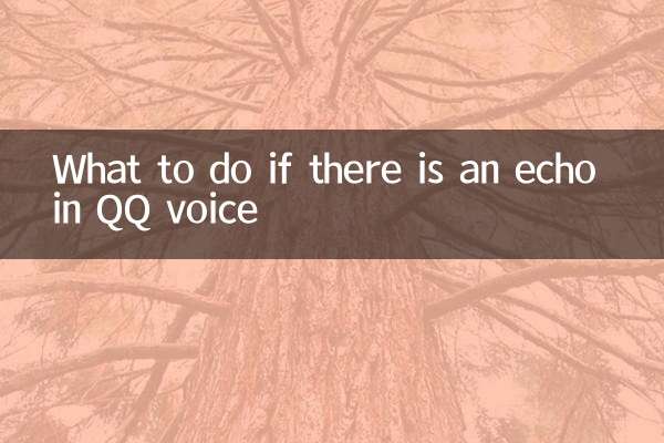 What to do if there is an echo in QQ voice