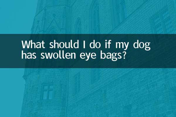 Cosa devo fare se il mio cane ha le borse sotto gli occhi gonfie?