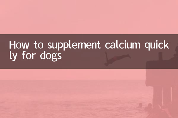How to supplement calcium quickly for dogs