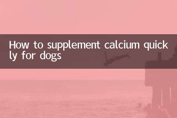 How to supplement calcium quickly for dogs