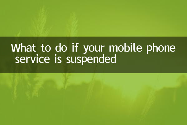휴대폰 서비스가 정지된 경우 어떻게 해야 할까요?