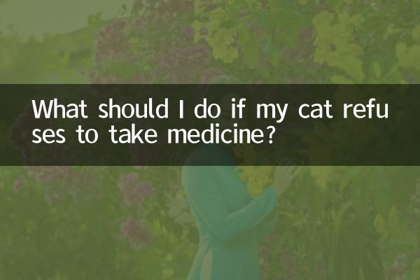 ¿Qué debo hacer si mi gato se niega a tomar medicamentos?