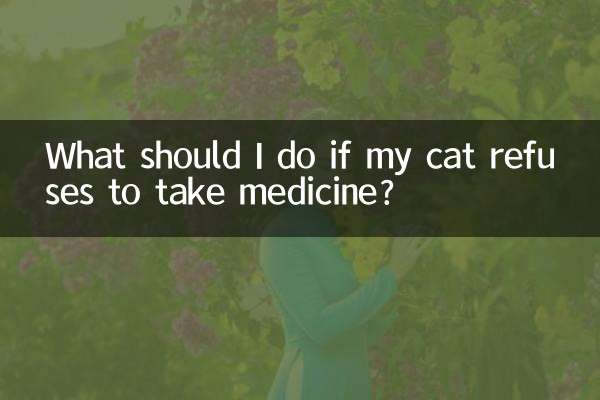 ¿Qué debo hacer si mi gato se niega a tomar medicamentos?