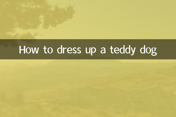 테디 개에게 옷을 입히는 방법