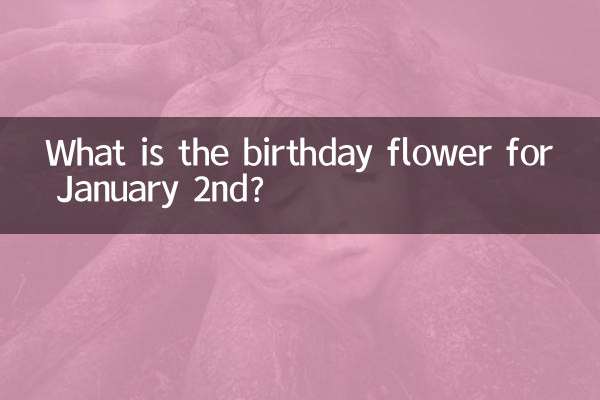 Qual é a flor do aniversário do dia 2 de janeiro?