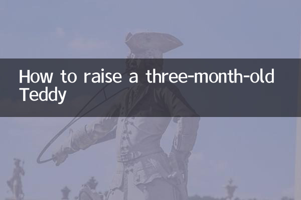 How to raise a three-month-old Teddy