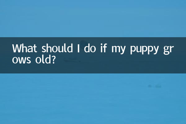 What should I do if my puppy grows old?