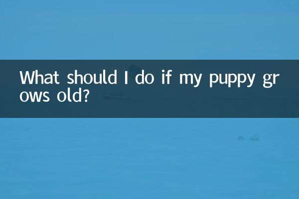 What should I do if my puppy grows old?