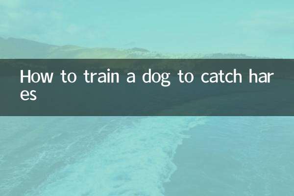 How to train a dog to catch hares
