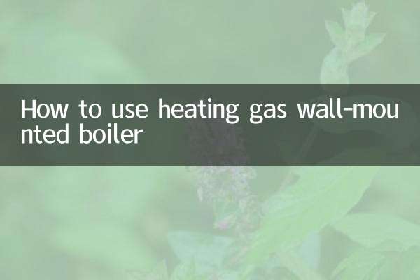 How to use heating gas wall-mounted boiler