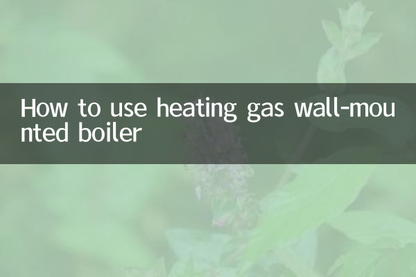 How to use heating gas wall-mounted boiler