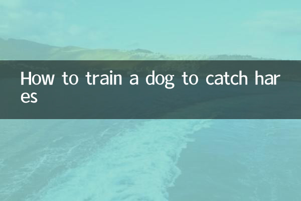 How to train a dog to catch hares