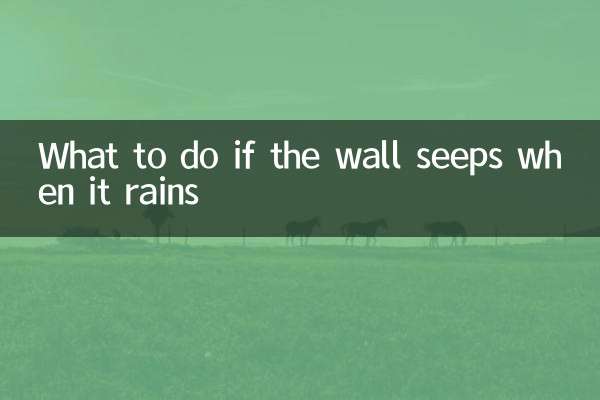 Cosa fare se il muro filtra quando piove