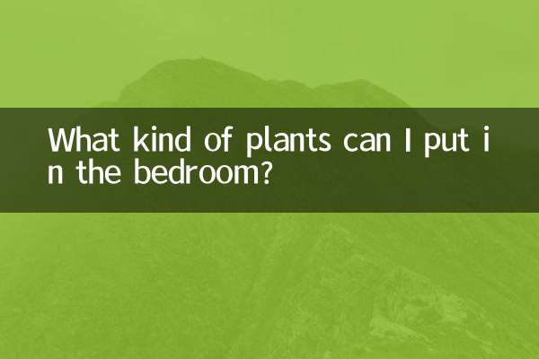 寝室にはどんな植物を置けばいいの？