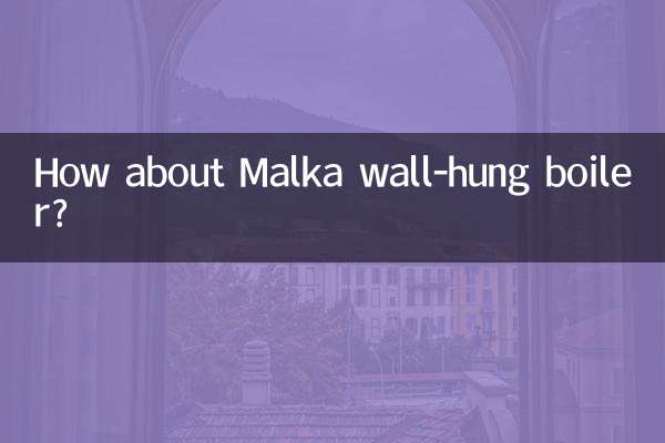 ¿Qué tal la caldera mural Malka?