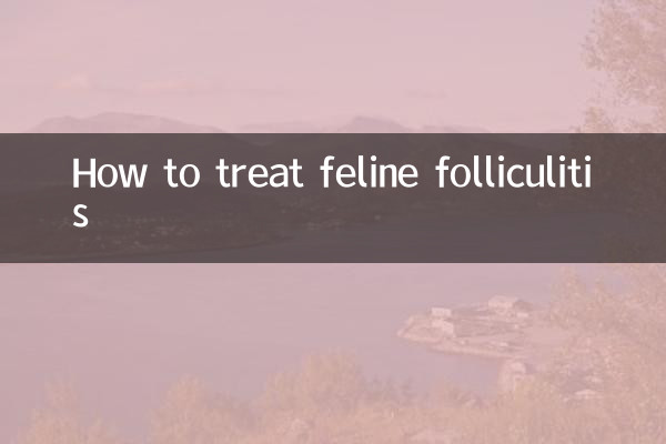फ़ेलीन फ़ॉलिकुलिटिस का इलाज कैसे करें