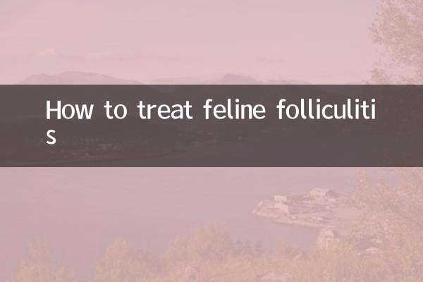 फ़ेलीन फ़ॉलिकुलिटिस का इलाज कैसे करें