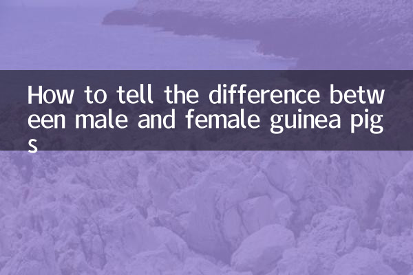 How to tell the difference between male and female guinea pigs