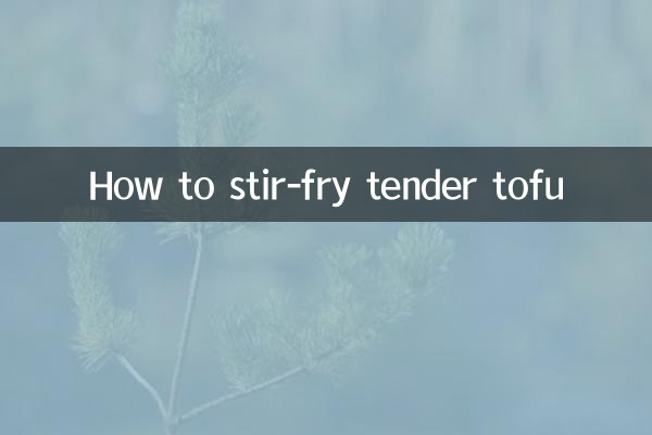 Como refogar o tofu tenro