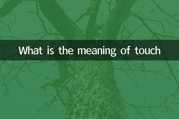 স্পর্শ মানে কি