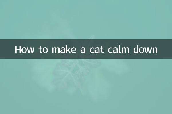 怎么让猫安静下来