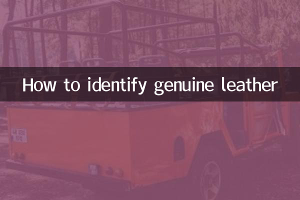 Cómo identificar el cuero genuino