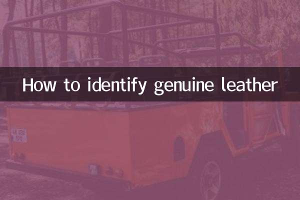 怎麼辨別真皮