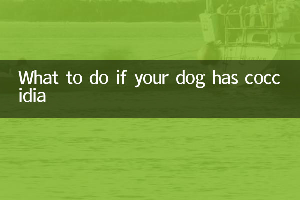 Что делать, если у вашей собаки кокцидии
