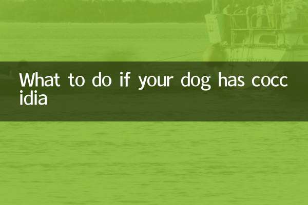 Qué hacer si tu perro tiene coccidias