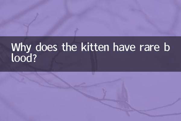 Почему у котенка редкая кровь?