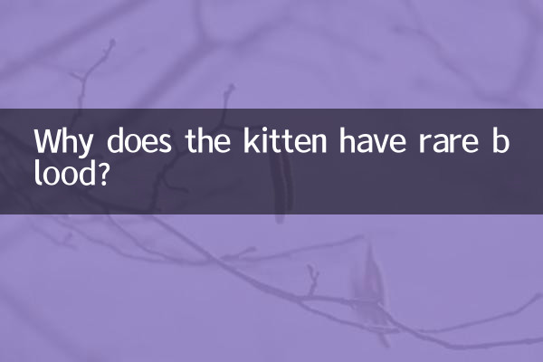 ¿Por qué el gatito tiene sangre rara?