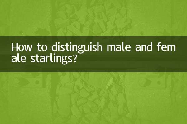 مرد اور خواتین اسٹارلنگس کو کس طرح تمیز کریں؟