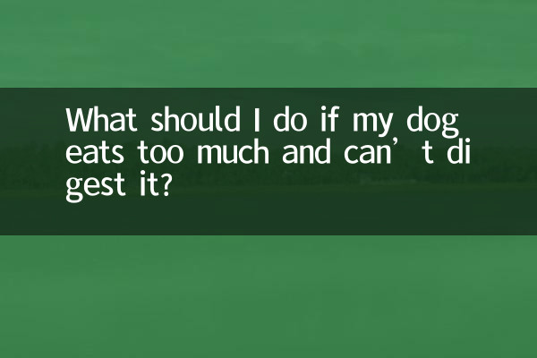 犬が食べすぎて消化できない場合はどうすればよいですか?