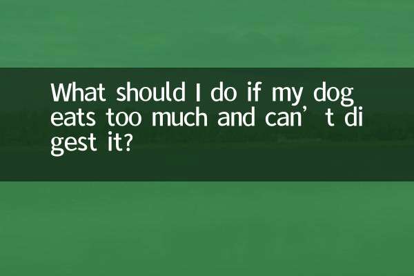 O que devo fazer se meu cachorro comer demais e não conseguir digerir?