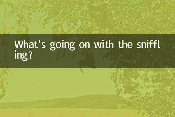 سونگھنے کے ساتھ کیا ہو رہا ہے؟