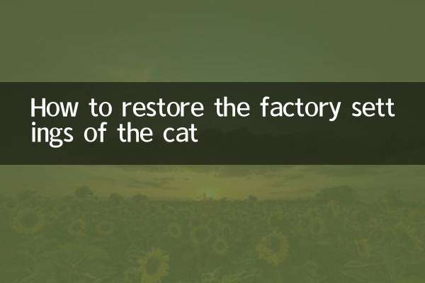 怎麼恢復貓的出廠設置