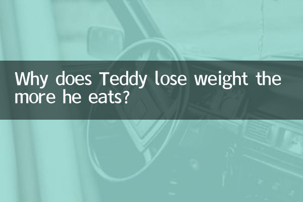 泰迪怎麼越吃越瘦