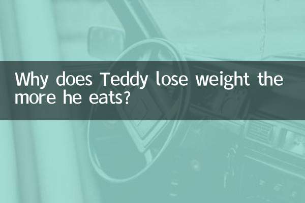 泰迪怎麼越吃越瘦