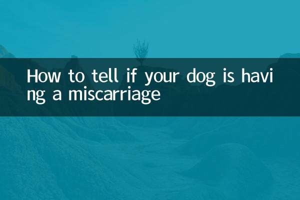 كيفية معرفة ما إذا كانت كلبك تعاني من الإجهاض