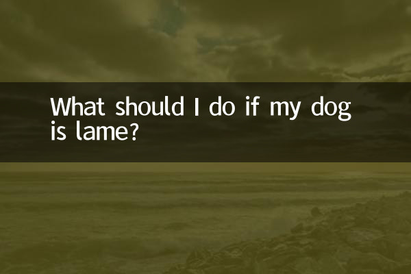 Что делать, если моя собака хромает?