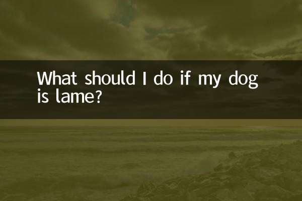 개가 다리를 절면 어떻게 해야 하나요?