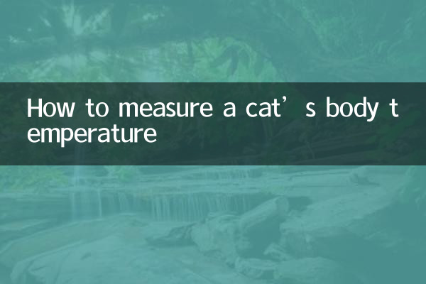 猫の体温の測り方