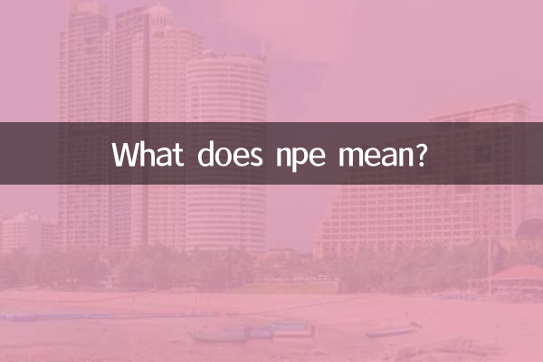 Que signifie NPE ?