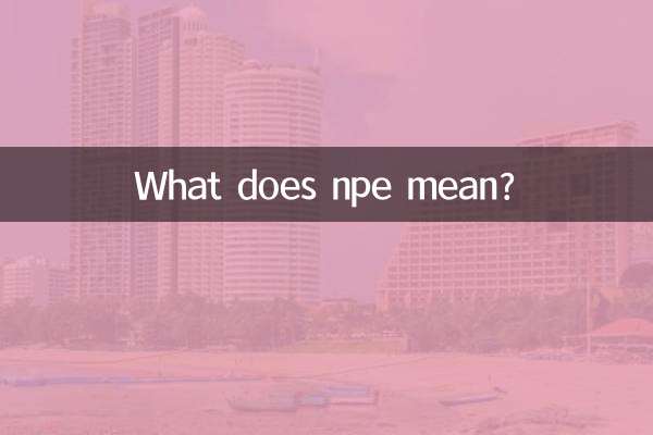 Que signifie NPE ?