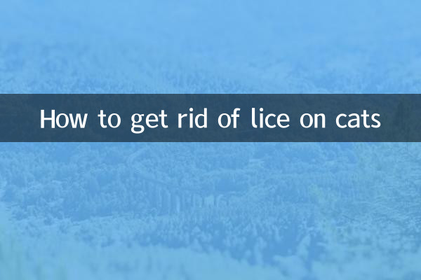 고양이의 이를 제거하는 방법