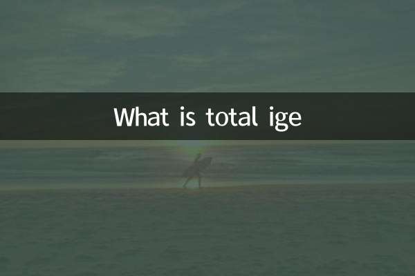 总ige是什么
